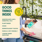 Aunt Fannie's All Purpose Household Cleaner, Multi-surface Spray, Powered by Vinegar for Kitchen, Bath, Windows and Countertops, Lemon Scent (Pack of 6)
