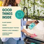 Aunt Fannie's All Purpose Household Cleaner, Multi-Surface Spray Cleaner, Powered by Vinegar for Kitchen, Bath, Windows and Countertops, Fragrance Free, Pack of 1