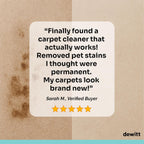 DeWitt Spot Genie Pro Portable Carpet Cleaner Machine, Upholstery Cleaner – Lightweight 7.7lb Pet Stain & Odor Remover with 4 Cleaning Tools, Compact Design for Home, Car, and Furniture