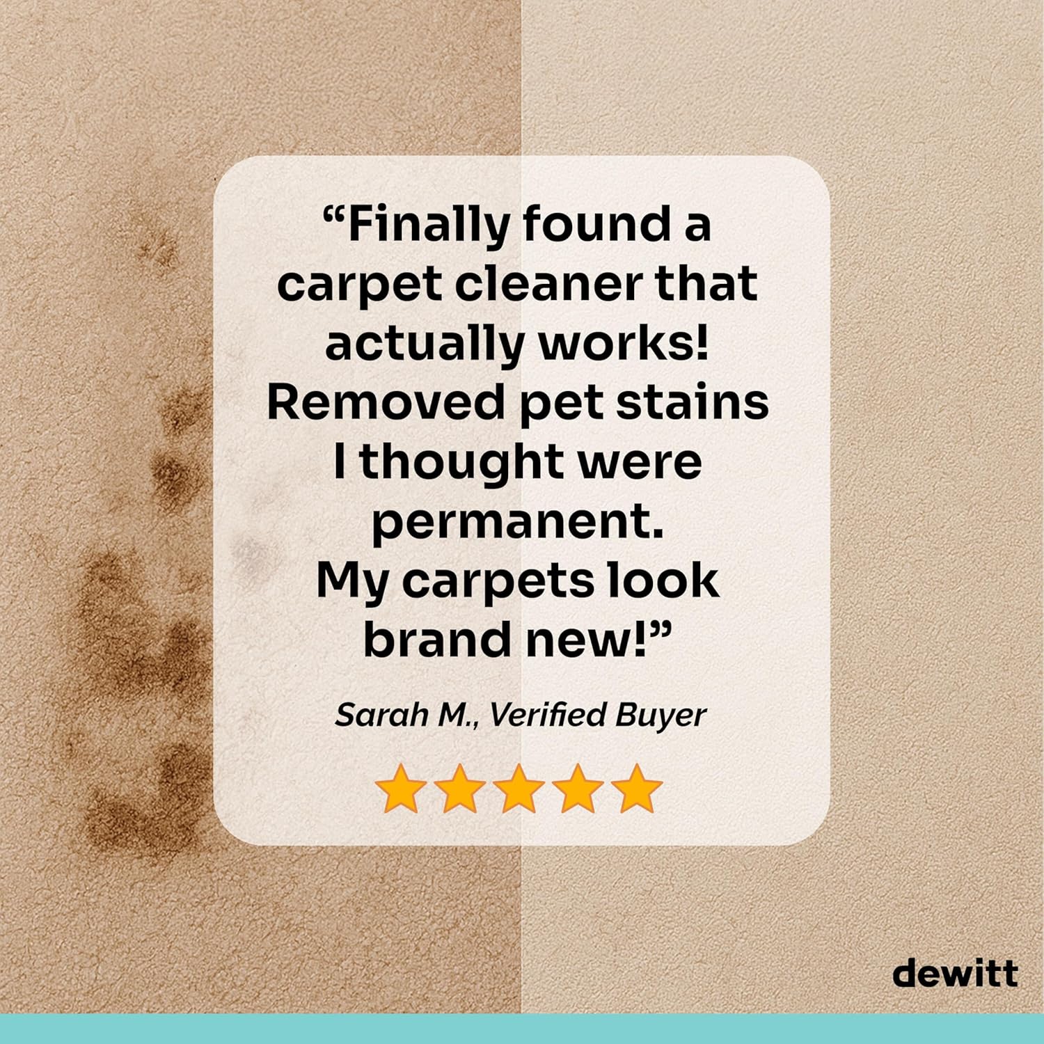 DeWitt Spot Genie Pro Portable Carpet Cleaner Machine, Upholstery Cleaner – Lightweight 7.7lb Pet Stain & Odor Remover with 4 Cleaning Tools, Compact Design for Home, Car, and Furniture