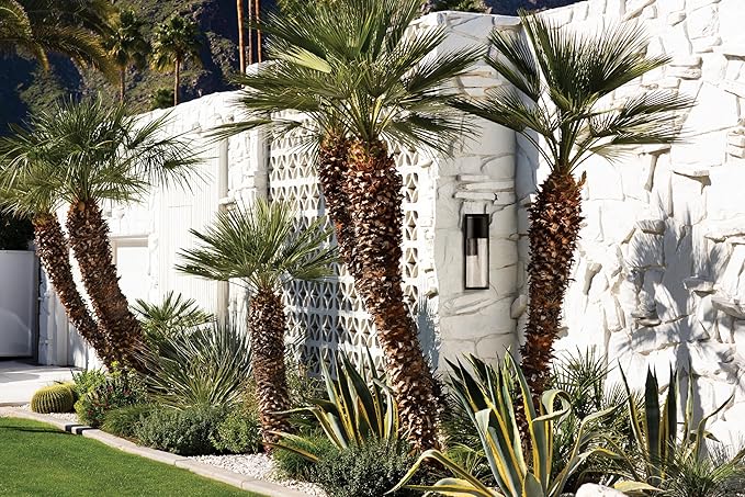 Hinkley Shelter Medium Outdoor LED Wall Mount Lantern - Minimalist Style, Dark Sky-Compliant, Solid Aluminum/Clear Seedy Glass - Buckeye Bronze