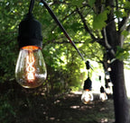 Hometown Evolution, Inc. E26 Outdoor Commercial String Lights with Suspended Socket for Weatherproof Heavy Duty Vintage Outside Lighting (S14 Zig Zag Edison 11 Watt Bulbs, 100 Foot 50 Socket)