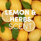 Clean Revolution SuperCharged Multi Surface Cleaner Refill Supply, Non-Toxic, Eco-Friendly & Plant-Based, Ready to Use, Lemon & Herbs, 18 oz (Pack of 1)