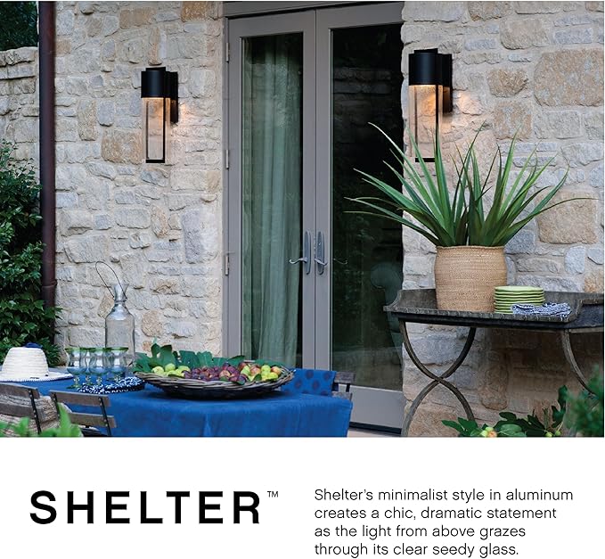 Hinkley Shelter Medium Outdoor LED Wall Mount Lantern - Minimalist Style, Dark Sky-Compliant, Solid Aluminum/Clear Seedy Glass - Buckeye Bronze