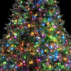 Novelty Lights 11 Feet 50 Bulbs Traditional Incandescent Mini Lights, Multicolor on Green Wire with 2.5" Spacing, Commercial Grade and UL Listed for Indoor/Outdoor Use, End-to-End Connectable