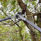 Loppers for Tree Trimming, Heavy Duty Branch Cutter Tree Clippers with Compound Action, Chops Thick Branch Ease, Garden Lopper Pruning, 32 Inch Tree Trimmer with 2" Clean Cut Capacity