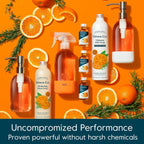 Grove Co. Multi-Purpose Cleaner, Refill Concentrate (6 x 1 Fl Oz) Plant-based Household Cleaning Supplies, Ammonia & Chlorine Free, No Plastic Waste, Orange & Rosemary Scent, Total 3 x 2 Pack Refills