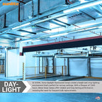 Sunlite F15T8/D 18-Inch T8 Linear Fluorescent Lamp, 15 Watts, 560 Lumens, 6500K Daylight, Medium G13 Bi-Pin Base, ROHS Compliant, 30 Pack