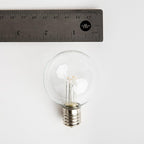 Hometown Evolution, Inc. 25 Foot C9 Commercial LED G50 Globe String Lights with 20 LED G50 Clear 2 Inch .6 Watt Bulbs and White Wire