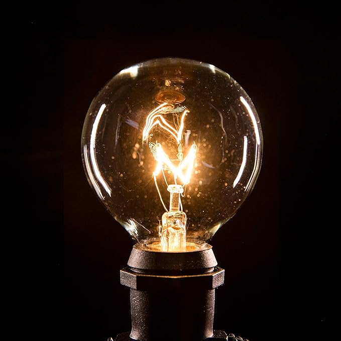 Hometown Evolution, Inc. 25 Foot C9 Commercial Exterior Globe String Lights with 20 G50 2 Inch Clear Bulbs (White Wire) for Weatherproof Heavy Duty Vintage Outside Lighting