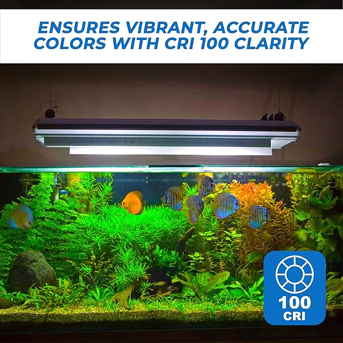 OHLECTRIC 40W T8 Clear Light Bulb (2-Pack) E26 Base, 120V, 2700K Warm White, Fully Dimmable, 190 Lumens, 2000 Hours - 11" Long