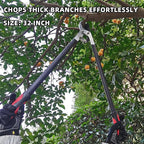 Loppers for Tree Trimming, Heavy Duty Branch Cutter Tree Clippers with Compound Action, Chops Thick Branch Ease, Garden Lopper Pruning, 32 Inch Tree Trimmer with 2" Clean Cut Capacity