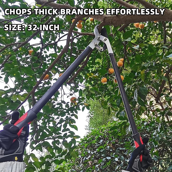 Loppers for Tree Trimming, Heavy Duty Branch Cutter Tree Clippers with Compound Action, Chops Thick Branch Ease, Garden Lopper Pruning, 32 Inch Tree Trimmer with 2" Clean Cut Capacity