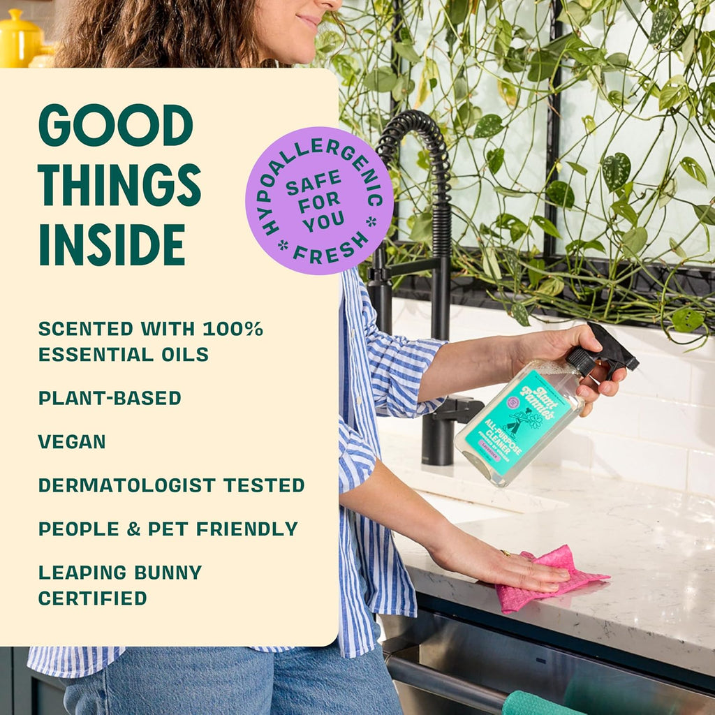 Aunt Fannie's All Purpose Household Cleaner, Multi-surface Spray, Powered by Vinegar for Kitchen, Bath, Windows and Countertops, Lavender Scent (Pack of 1)