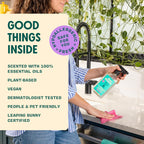 Aunt Fannie's All Purpose Household Cleaner, Multi-surface Spray, Powered by Vinegar for Kitchen, Bath, Windows and Countertops, Lavender Scent (Pack of 1)