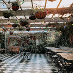 S14 Christmas Replacement Light Bulbs, 50 Pack Glass Edison Vintage Bulbs, 11 Watt, E26 Medium Base, Waterproof Commercial Christmas Bulb for Indoor Outdoor Home Patio Garden Decoration, Multicolor