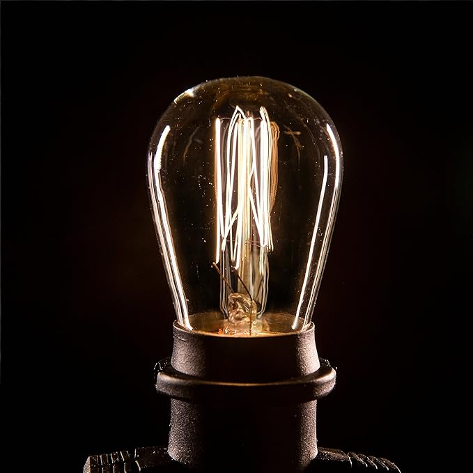 Hometown Evolution, Inc. 100' E26 Commercial Edison Bulb Outdoor String Lights (100 Foot 50 Socket, S14 Lantern Edison 11 Watt Light Bulbs)