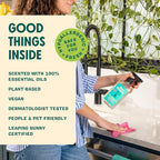 Aunt Fannie's All Purpose Household Cleaner, Multi-surface Spray, Powered by Vinegar for Kitchen, Bath, Windows and Countertops, Eucalyptus Scent (Pack of 6)