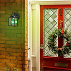 Westinghouse Lighting 0344420 25 Watt A19 Transparent Green Color Light Bulb, Incandescent Party Bulb, Medium Base, 6 Pack