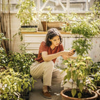 Fiskars Pruning Snips - 6" Garden Shears with Comfort Grip and Spring Action - Sharp and Precise Non-Stick Steel Blades - Quality Pruning Shears for Plants in Grow Tents and Hydroponics - 2 Pack