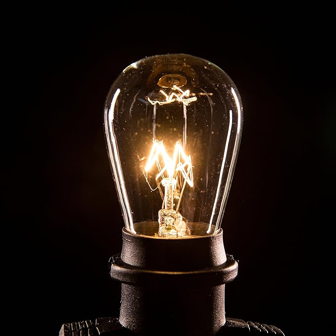 Hometown Evolution, Inc. Commercial E26 String Lights with 16 Gauge Wire (50 Foot 25 Socket, S14 11 Watt Clear Bulb)