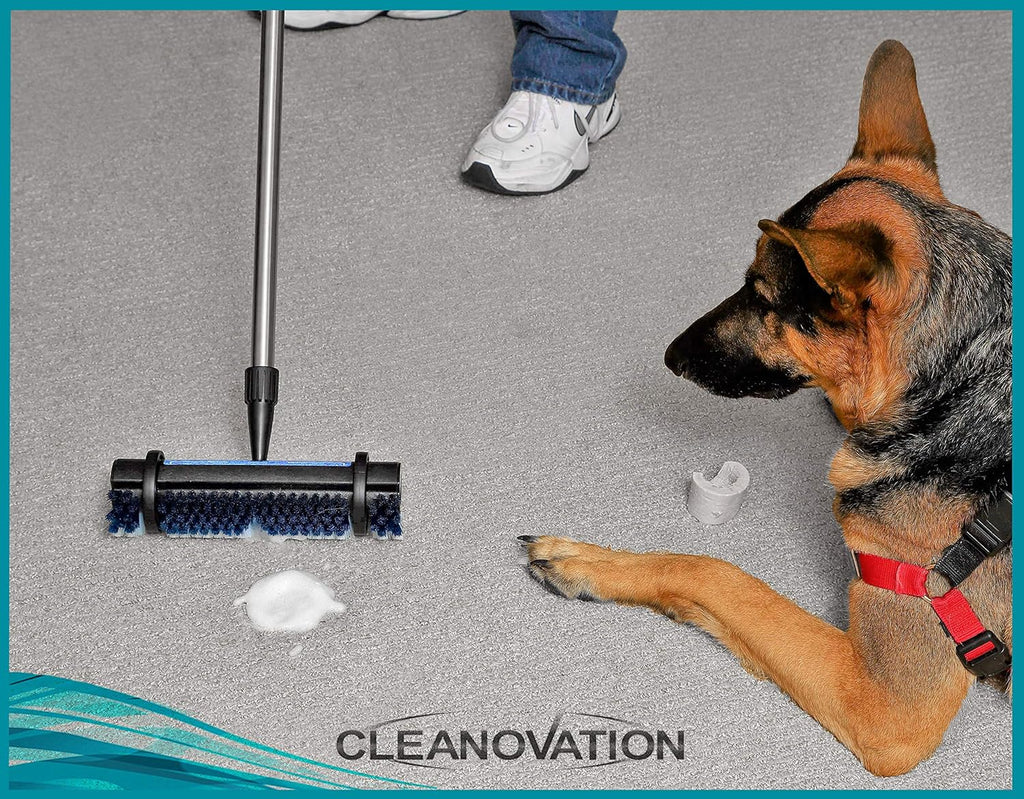 Rug Renovator/Carpet Cleaning Brush