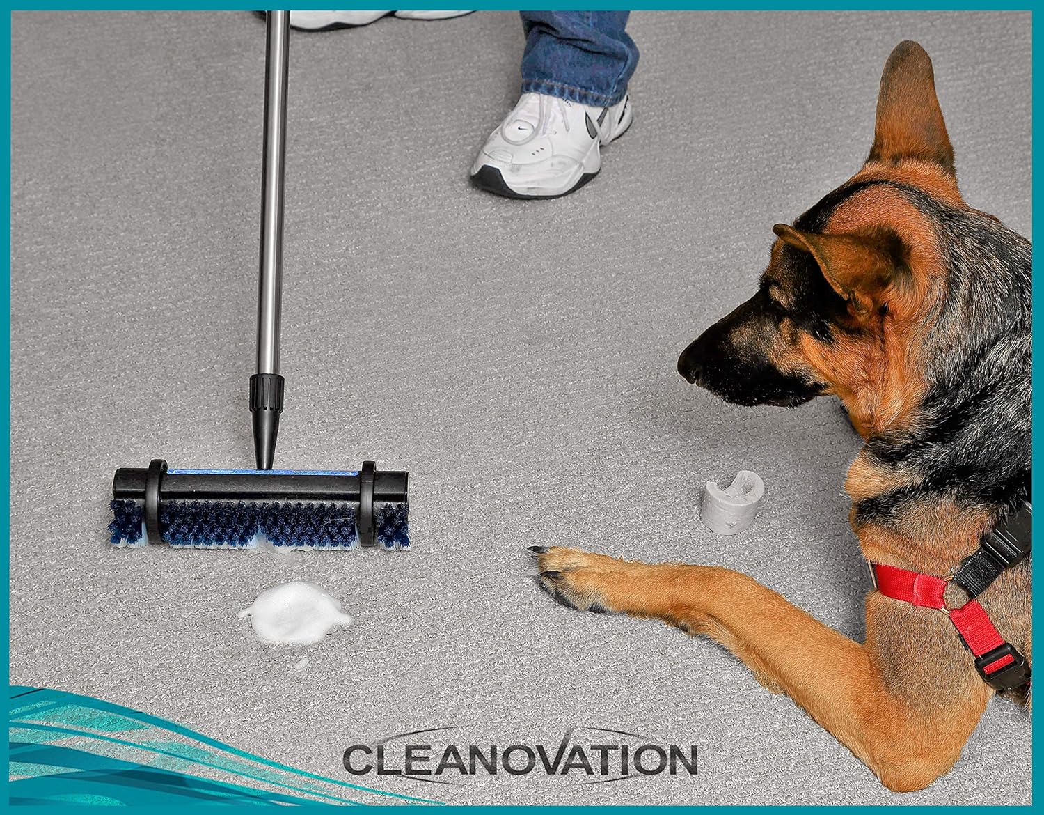 Rug Renovator/Carpet Cleaning Brush