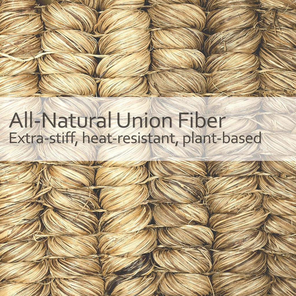 REDECKER Natural Fiber Bristle Pot Brush - Untreated Beechwood Handle - Heat-Resistant Union Fiber Head for Cleaning Pots, Pans and More - 2-1/2 inch Diameter - Set of 2 - Boar Bristle Dish Brush