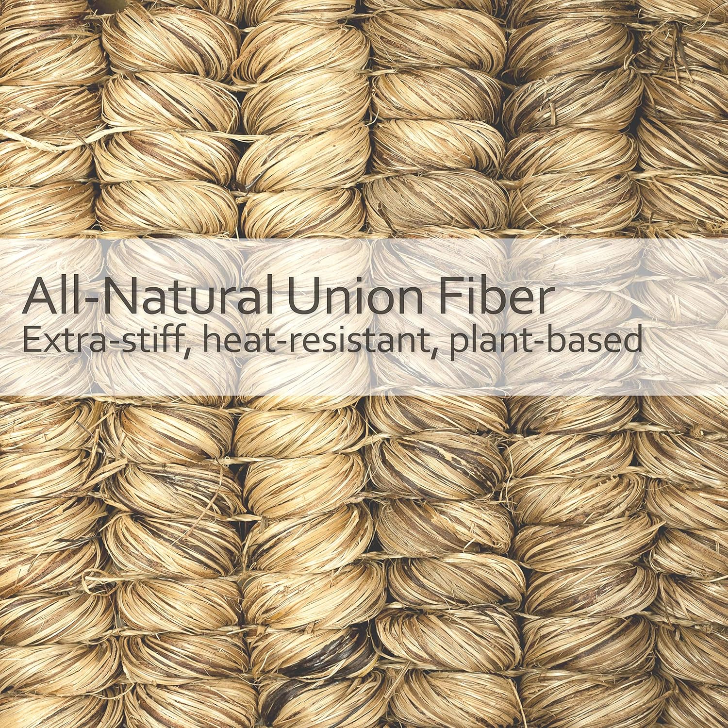 REDECKER Natural Fiber Bristle Pot Brush - Untreated Beechwood Handle - Heat-Resistant Union Fiber Head for Cleaning Pots, Pans and More - 2-1/2 inch Diameter - Set of 2 - Boar Bristle Dish Brush